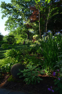Kelly Wingo Landscape and Garden Design Consultant, Boston, Needham, MA